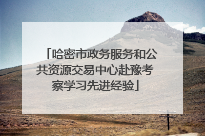 哈密市政务服务和公共资源交易中心赴豫考察学习先进经验