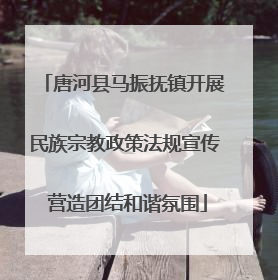 唐河县马振抚镇开展民族宗教政策法规宣传 营造团结和谐氛围