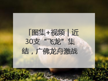 图集+视频｜近30支“飞龙”集结，广佛龙舟激战第60届荔湾“沙溪景”