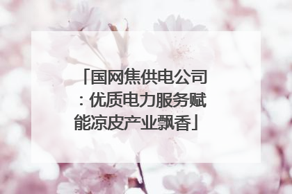 国网焦供电公司：优质电力服务赋能凉皮产业飘香