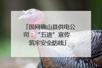 国网确山县供电公司：“五进”宣传 筑牢安全防线