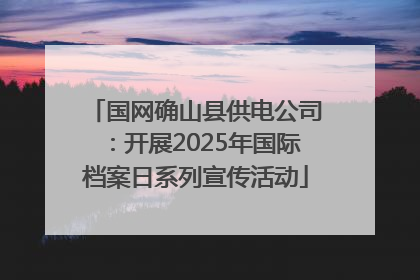 国网确山县供电公司：开展2025年国际档案日系列宣传活动