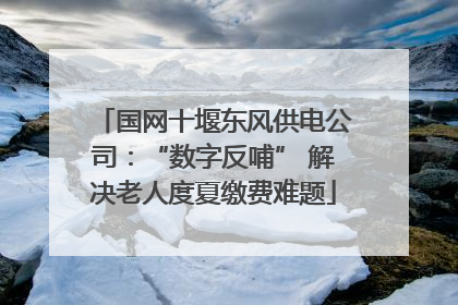国网十堰东风供电公司：“数字反哺” 解决老人度夏缴费难题
