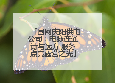 国网庆阳供电公司：电脉连通诗与远方 服务点亮露营之光