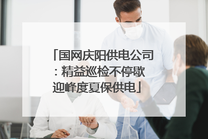 国网庆阳供电公司：精益巡检不停歇 迎峰度夏保供电