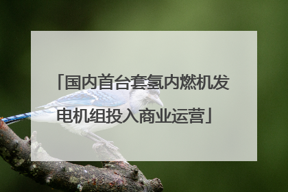 国内首台套氢内燃机发电机组投入商业运营