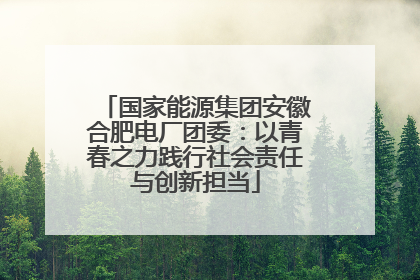 国家能源集团安徽合肥电厂团委：以青春之力践行社会责任与创新担当