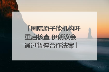国际原子能机构吁重启核查 伊朗议会通过暂停合作法案