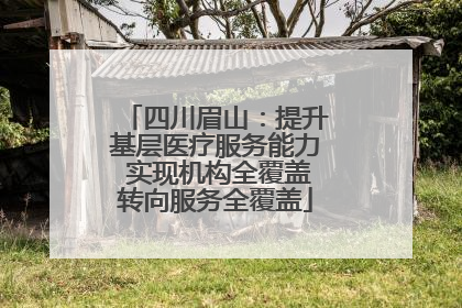 四川眉山：提升基层医疗服务能力 实现机构全覆盖转向服务全覆盖