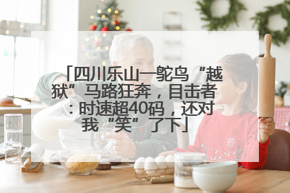 四川乐山一鸵鸟“越狱”马路狂奔，目击者：时速超40码，还对我“笑”了下