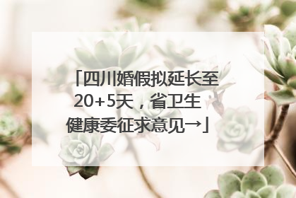 四川婚假拟延长至20+5天，省卫生健康委征求意见→