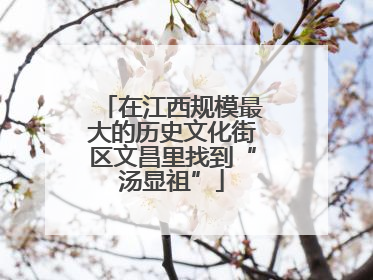 在江西规模最大的历史文化街区文昌里找到“汤显祖”