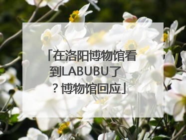 在洛阳博物馆看到LABUBU了？博物馆回应