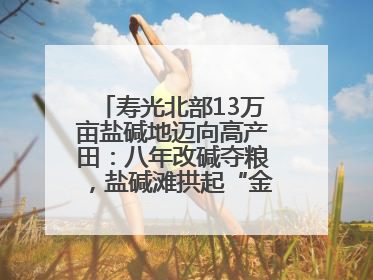寿光北部13万亩盐碱地迈向高产田：八年改碱夺粮，盐碱滩拱起“金粮仓”