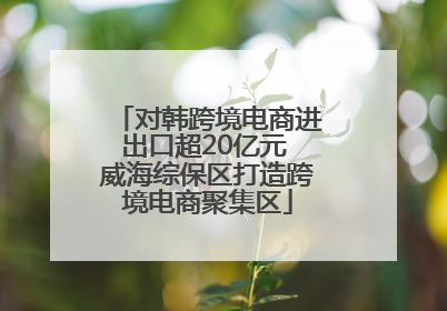 对韩跨境电商进出口超20亿元 威海综保区打造跨境电商聚集区