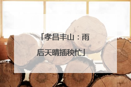 孝昌丰山：雨后天晴插秧忙