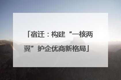 宿迁：构建“一核两翼”护企优商新格局