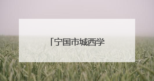 宁国市城西学校：戏曲进校园 文化润童心