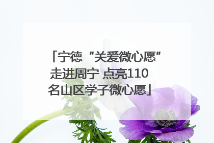 宁德“关爱微心愿”走进周宁 点亮110名山区学子微心愿