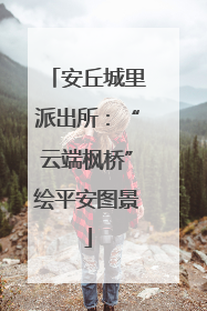 安丘城里派出所：“云端枫桥”绘平安图景