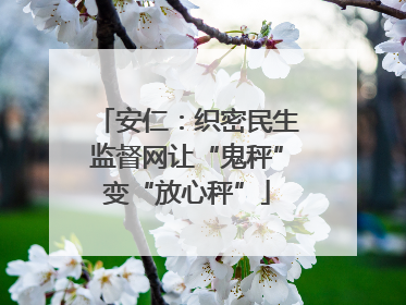安仁：织密民生监督网让“鬼秤”变“放心秤”