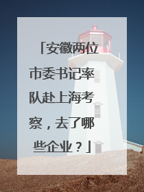 安徽两位市委书记率队赴上海考察，去了哪些企业？