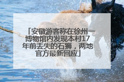 安徽游客称在徐州一博物馆内发现本村17年前丢失的石狮，两地官方最新回应