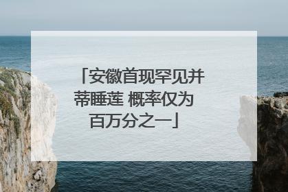 安徽首现罕见并蒂睡莲 概率仅为百万分之一