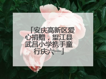 安庆高新区爱心捐赠，望江县武昌小学携手童行庆六一