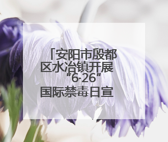 安阳市殷都区水冶镇开展“6·26”国际禁毒日宣传教育活动