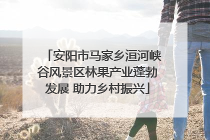 安阳市马家乡洹河峡谷风景区林果产业蓬勃发展 助力乡村振兴