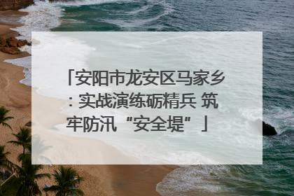 安阳市龙安区马家乡：实战演练砺精兵 筑牢防汛“安全堤”