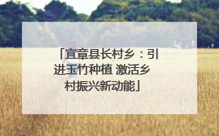 宜章县长村乡：引进玉竹种植 激活乡村振兴新动能