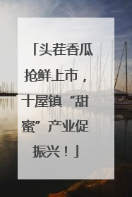 头茬香瓜抢鲜上市，十屋镇“甜蜜”产业促振兴！
