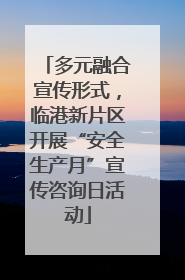 多元融合宣传形式，临港新片区开展“安全生产月”宣传咨询日活动