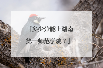 多少分能上湖南第一师范学院？