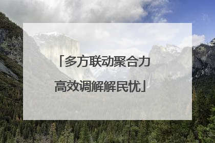 多方联动聚合力 高效调解解民忧