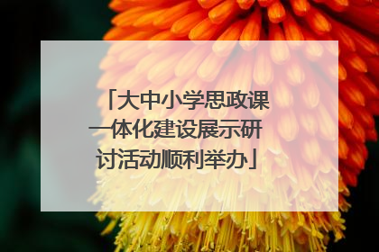 大中小学思政课一体化建设展示研讨活动顺利举办