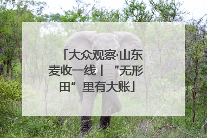 大众观察·山东麦收一线丨“无形田”里有大账