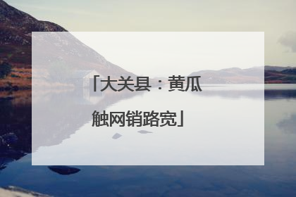 大关县：黄瓜触网销路宽