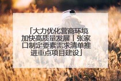 大力优化营商环境 加快高质量发展丨张家口制定要素需求清单推进重点项目建设