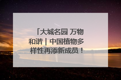 大城名园 万物和谐｜中国植物多样性再添新成员！它只在西藏墨脱