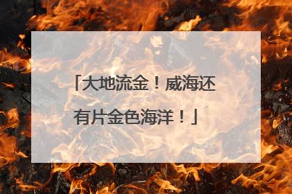 大地流金！威海还有片金色海洋！