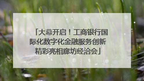 大幕开启！工商银行国际化数字化金融服务创新精彩亮相廊坊经洽会