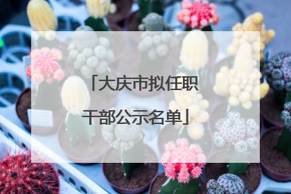 大庆市拟任职干部公示名单