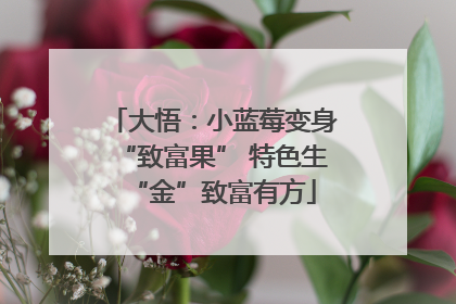 大悟：小蓝莓变身“致富果” 特色生“金”致富有方