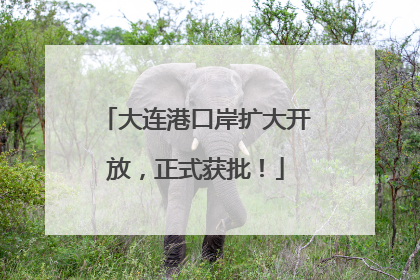 大连港口岸扩大开放，正式获批！