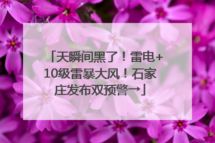 天瞬间黑了！雷电+10级雷暴大风！石家庄发布双预警→