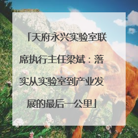 天府永兴实验室联席执行主任梁斌：落实从实验室到产业发展的最后一公里