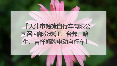 天津市畅捷自行车有限公司召回部分珠江、台邦、哈牛、吉祥狮牌电动自行车